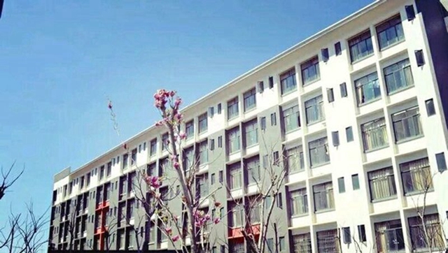 云南城市建设职业学院汽车服务与营销专业招生_招生信息