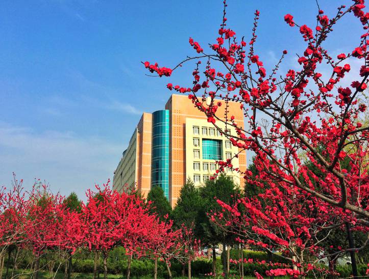 陝西中醫藥大學宿舍條件及圖片